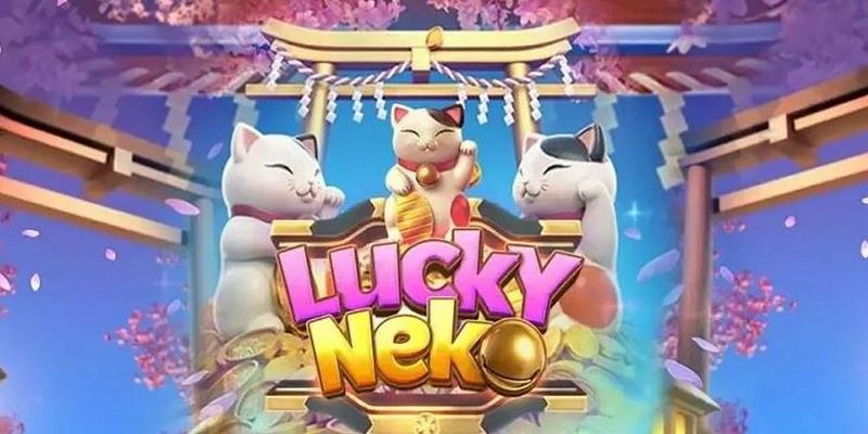 Hỗ trợ đặc biệt dành cho người chơi nổ hũ 